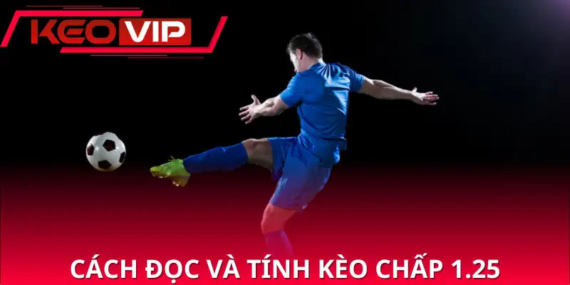 Cách đọc và tính kèo chấp 1.25 đơn giản
