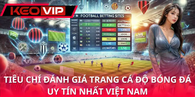 Trang cá độ bóng đá uy tín nhất Việt Nam thể hiện ở pháp lý và minh bạch