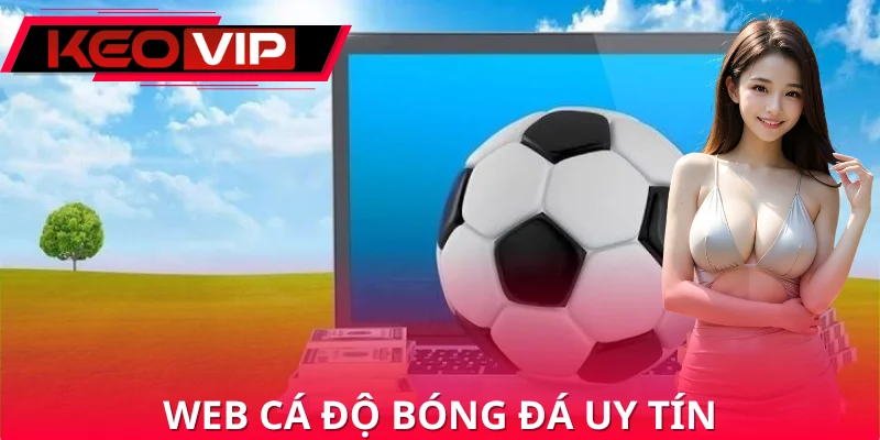 Web Cá Độ Bóng Đá Uy Tín